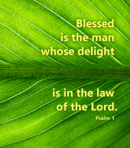 Click for high resolution graphic.