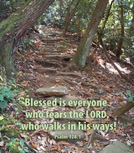 Click for high resolution graphic.