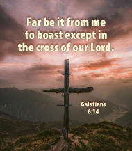 Click for high resolution graphic.