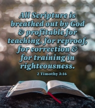 Click for high resolution graphic.