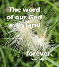 Click for high resolution graphic.