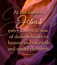 Click for high resolution graphic.