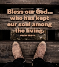 Click for high resolution graphic.