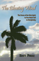 The Blowing Wind B-P100