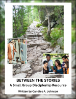 Between the Stories (discipleship) J-8210